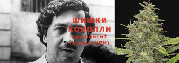 индика Лагань