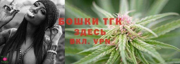 индика Лагань