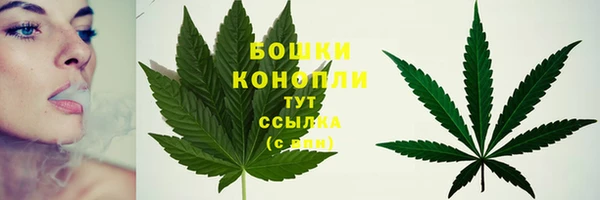 apvp Ладушкин