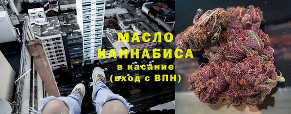 индика Лагань