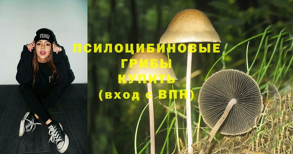 apvp Ладушкин