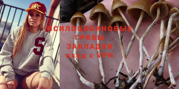apvp Ладушкин