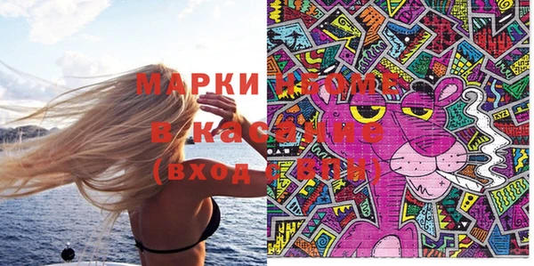 индика Лагань