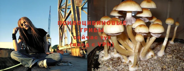apvp Ладушкин