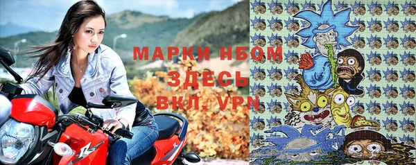 индика Лагань