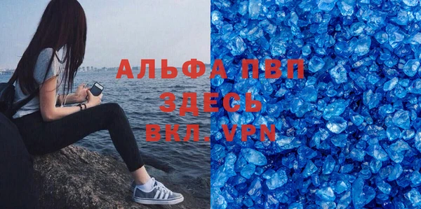 индика Лагань