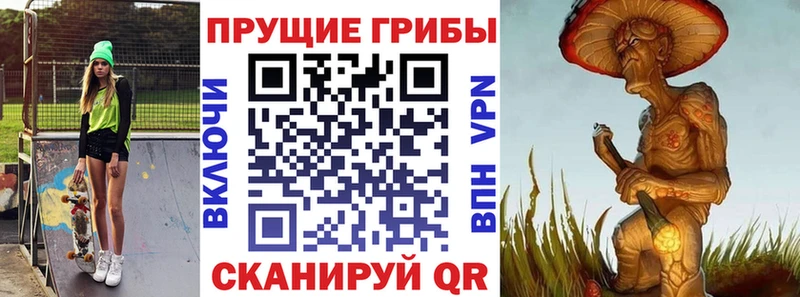 Купить  Арсеньев  Галлюциногенные грибы Psilocybe 